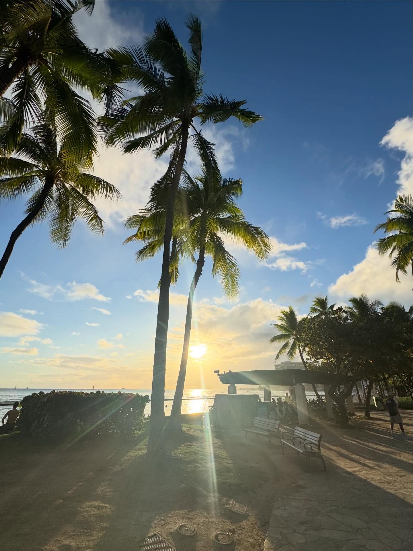 607002451_18424387300191617_708353615554409803_n